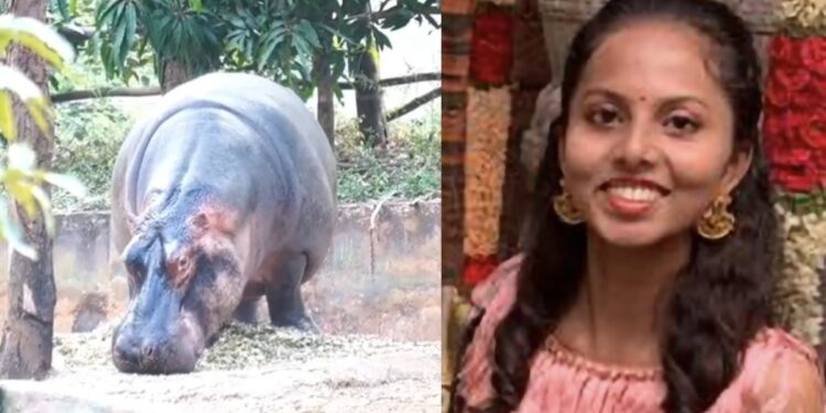 हिप्पोपोटामस के हमले में ट्रेनी वेटरनरी ऑफिसर की मौत, तापमान जांचने के दौरान जानवर ने किया था हमला