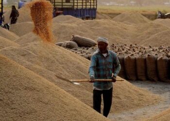 युद्ध की वजह से चावल निर्यात प्रभावित, माल भाड़ा 30% बढ़ा- कंटेनरों की भी किल्लत