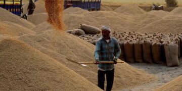 युद्ध की वजह से चावल निर्यात प्रभावित, माल भाड़ा 30% बढ़ा- कंटेनरों की भी किल्लत