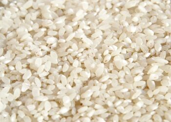 टूटे चावल पर सरकार का बड़ा फैसला, PDS में कटौती, एथेनॉल सेक्टर को मिलेगा 90 लाख टन अनाज