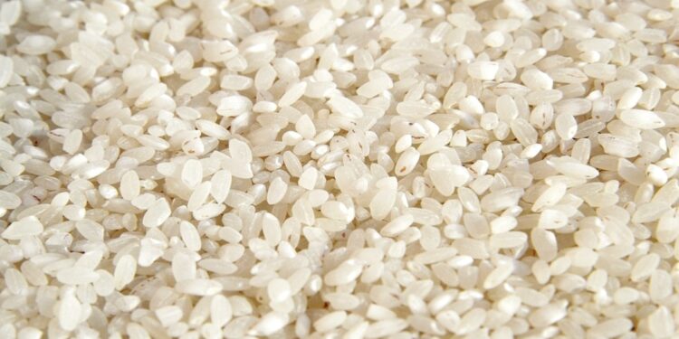 टूटे चावल पर सरकार का बड़ा फैसला, PDS में कटौती, एथेनॉल सेक्टर को मिलेगा 90 लाख टन अनाज