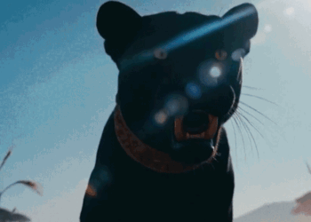 मूसेवाला का होलोग्राम टूर रिलीज, 2 करोड़ व्यूज:पहली बार पाकिस्तान में दिखेंगे पंजाबी सिंगर, मौत से पहले किया था आने का वादा