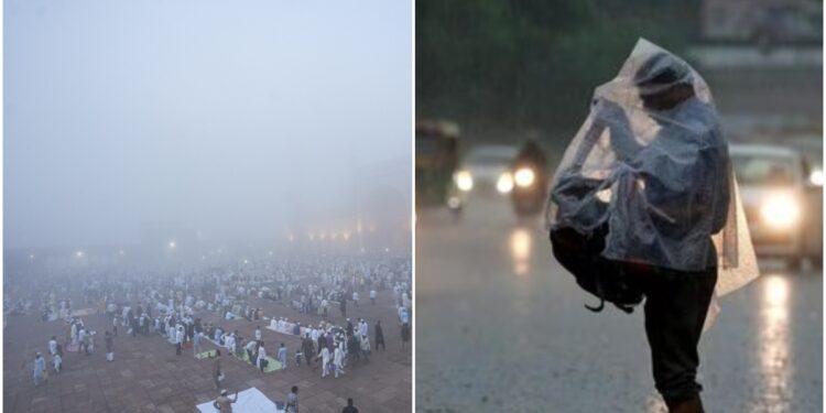 उत्तर भारत के कई इलाकों में बारिश, दिल्ली में फिर से छाया कोहरा, जानिए मार्च के महीने में क्यों हो रहा ऐसा मौसम?