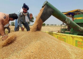 गेहूं के MSP में बढ़ोतरी, इस राज्य में किसानों को मिलेगा फायदा- जानें कब शुरू होगी खरीदारी