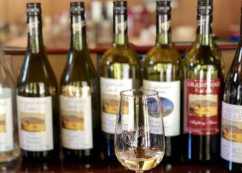 दिल्ली सरकार ने मौजूदा आबकारी नीति को 1 साल के लिए बढ़ाया, खुदरा लाइसेंसों का होगा रिन्युअल