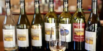 दिल्ली सरकार ने मौजूदा आबकारी नीति को 1 साल के लिए बढ़ाया, खुदरा लाइसेंसों का होगा रिन्युअल