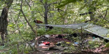 ऑपरेशन महादेव ने दिलाया पहलगाम पीड़ितों को न्याय, 3 आतंकी मार गिराए, जानें कैसे की गई कार्रवाई