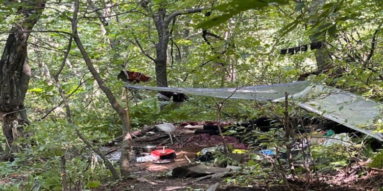 ऑपरेशन महादेव ने दिलाया पहलगाम पीड़ितों को न्याय, 3 आतंकी मार गिराए, जानें कैसे की गई कार्रवाई