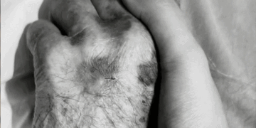 सैयारा फेम अनीत पड्डा के दादा का निधन:अल्जाइमर से लंबे समय से पीड़ित थे, एक्ट्रेस ने इमोशनल पोस्ट लिखा