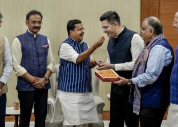 Rajya Sabha number game, AAP MPs join BJP, Raghav Chadha BJP switch, Harbhajan Singh politics AAP के 7 सांसदों के BJP में शामिल होने से कैसे बदलेगा खेल? जानें, राज्यसभा का नंबर गेम