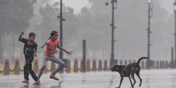 आवारा कुत्ते के हमले के बाद ‘रेबीज’ से लड़की की मौत, इलाज में हुई लापरवाही, चार सरकारी डॉक्टरों के खिलाफ FIR दर्ज
