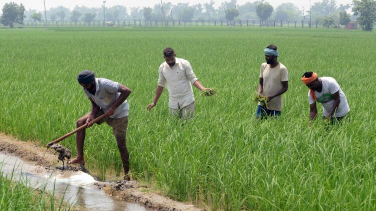बिहार में कई गुना बढ़ जाएंगी जमीन की कीमतें, राज्य में डेवलप किए जाएंगे 11 नए सैटेलाइट टाउनशिप
