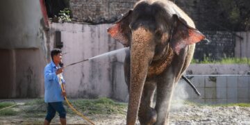 थोड़ी राहत लेकर आएगा मई का महीना, अगले तीन दिन तक जारी रहेगा गर्मी का कहर, 6 राज्यों में हीटवेव का अलर्ट
