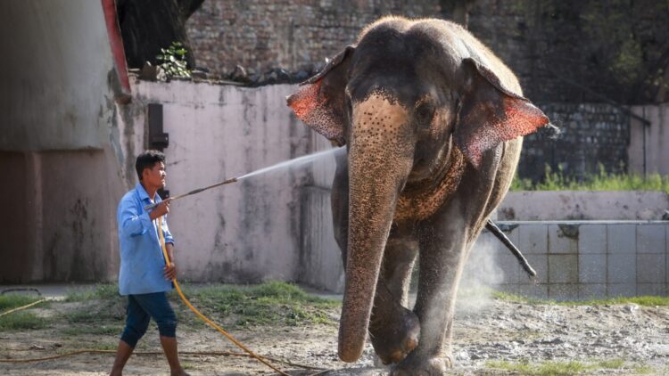 थोड़ी राहत लेकर आएगा मई का महीना, अगले तीन दिन तक जारी रहेगा गर्मी का कहर, 6 राज्यों में हीटवेव का अलर्ट