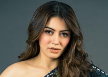 Hansika Motwanis Divorce Struggle | Family & Therapy Gave Strength