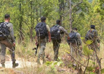 47 माओवादियों ने डाले हथियार, भारी गोला-बारूद के साथ किया सरेंडर, DGP ने बताया क्या-क्या हुआ बरामद?