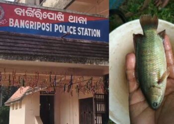 मछली पकड़ते समय दर्दनाक हादसा, युवक के गले में फंसी जिंदा मछली, हुई मौत