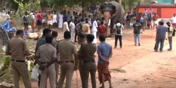 केरल के 2 मंदिरों में बुरी तरह बेकाबू हुए हाथी, 2 लोगों को कुचलकर मार डाला; देखें वीडियो