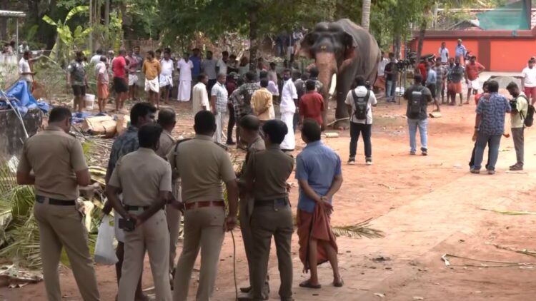 केरल के 2 मंदिरों में बुरी तरह बेकाबू हुए हाथी, 2 लोगों को कुचलकर मार डाला; देखें वीडियो