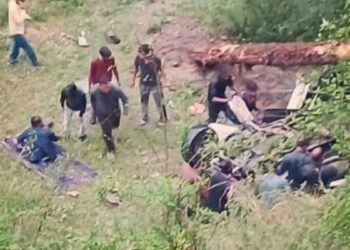 कुल्लू: कार के ऊपर गिरा भारी-भरकम पेड़, 4 महिला शिक्षकों की दर्दनाक मौत