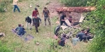 कुल्लू: कार के ऊपर गिरा भारी-भरकम पेड़, 4 महिला शिक्षकों की दर्दनाक मौत
