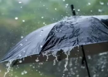 दिल्ली से बिहार और बंगाल तक, 5 दिनों तक कहीं ओले तो कहीं होगी झमाझम बारिश, जानें कैसा रहेगा मौसम