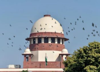सुप्रीम कोर्ट में NTA को भंग करने के लिए याचिका दाखिल, NEET पेपर लीक केस के बाद उठाया कदम