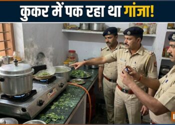 पुलिस को चकमा देने के लिए चावल में छिपाया गांजा, प्रेशर कुकर की सीटी ने खोल दी पोल