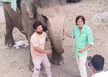 बॉलीवुड अभिनेता चंकी पांडे कॉर्बेट टाइगर रिजर्व पहुंचे:जंगल सफारी का उठाया लुत्फ, हाथी के साथ खिंचवाई तस्वीर