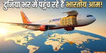 Air India Mango Express, Indian Mango Export 2026, Alphonso Mango Export, Kesar Mango Export एयर इंडिया के जहाजों से हो रही आमों की सप्लाई, लंदन से न्यूयॉर्क तक भारतीय आम की धूम