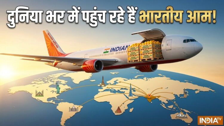 Air India Mango Express, Indian Mango Export 2026, Alphonso Mango Export, Kesar Mango Export एयर इंडिया के जहाजों से हो रही आमों की सप्लाई, लंदन से न्यूयॉर्क तक भारतीय आम की धूम