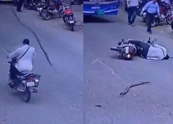 बाइक से जा रहे शख्स के सिर पर गिरी सूखी टहनी, अचेत होकर सड़क पर गिरा; CCTV फुटेज आया सामने