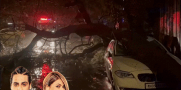 Urvashi Dholakias Son Kshitij Narrowly Escapes Tree Fall; Video