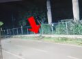 बेंगलुरु में दिखा तेंदुआ, सड़क पर खुलेआम चक्कर लगाता नजर आया; CCTV में कैद हुई मूवमेंट