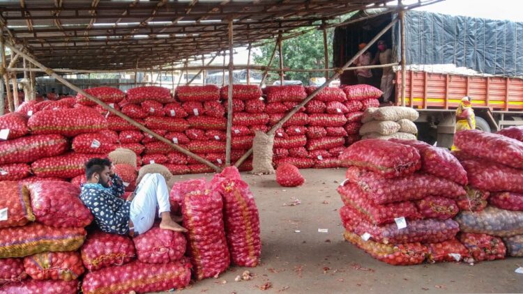 प्याज की खरीद कीमत में 13% की बढ़ोतरी, सरकार ने किसानों को दी बड़ी सौगात