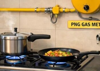 मिडिल ईस्ट संकट के बावजूद भारत में क्यों नहीं बढ़े PNG के दाम? सरकार ने बताया कारण