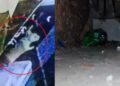 जब चूहों ने उड़ाए 10 लाख के गहने, CCTV देख कर बिल से निकाली गईं 10 अंगूठियां और 2 हार-VIDEO