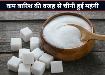 चीनी के दाम में अचानक आई तेजी! जून में कम बारिश की वजह से रेट 6-7% तक चढ़े