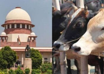 तमिलनाडु में गोवध पर पूर्ण प्रतिबंध का मामला पहुंचा सुप्रीम कोर्ट, आखिर क्या है विवाद?