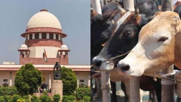 तमिलनाडु में गोवध पर पूर्ण प्रतिबंध का मामला पहुंचा सुप्रीम कोर्ट, आखिर क्या है विवाद?