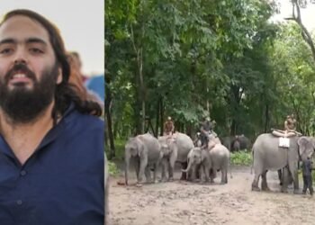अनंत अंबानी के वनतारा ने असम की बाढ़ में फंसे हाथियों को सुरक्षित बाहर निकाला, CM हिमंता ने कहा थैंक्यू