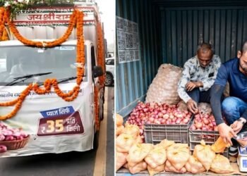 दिल्ली के किन-किन स्थानों पर ₹35/kg प्याज बेच रही केंद्र सरकार, देख लें पूरी लिस्ट