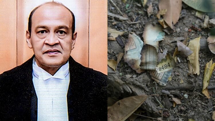 जस्टिस यशवंत वर्मा पर लगे तीनों आरोप साबित, सरकारी आवास पर भारी मात्रा में मिले थे जले और अधजले नोट