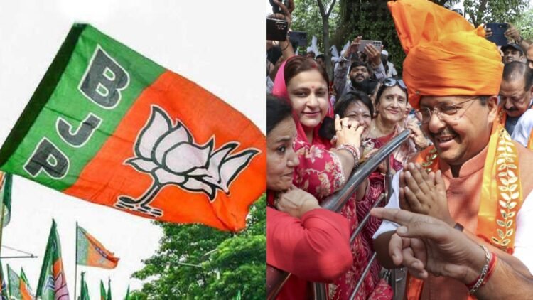 नितिन नवीन की नई टीम में UP का दबदबा, 8 नेताओं को जगह; दिल्ली के बाद सबसे ज्यादा प्रतिनिधित्व, जानें किस राज्य से कितने चेहरे