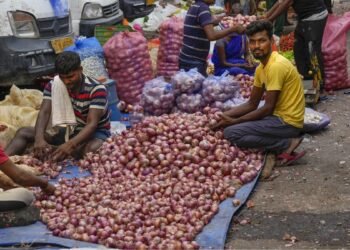 दिल्ली में 55 रुपये तक पहुंची प्याज की कीमत, 35 रुपये के भाव पर बिक्री करेगी सरकार