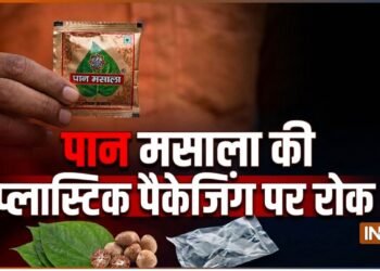 पान मसाला की प्लास्टिक पैकेजिंग पर रोक; FSSAI ने सख्त किए नियम