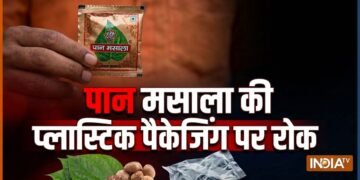 पान मसाला की प्लास्टिक पैकेजिंग पर रोक; FSSAI ने सख्त किए नियम
