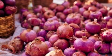प्याज की कीमतें 59% बढ़ीं तो सरकार ने चला दी ‘कांदा एक्सप्रेस’, आम लोगों पर नहीं पड़ेगा महंगाई का असर