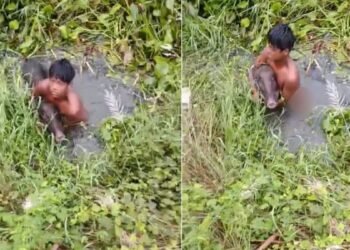 जब जंगली सूअर से अकेले ही भिड़ गया 14 साल का बच्चा, कायम कर दी बहादुरी की मिसाल