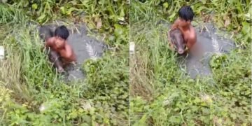 जब जंगली सूअर से अकेले ही भिड़ गया 14 साल का बच्चा, कायम कर दी बहादुरी की मिसाल